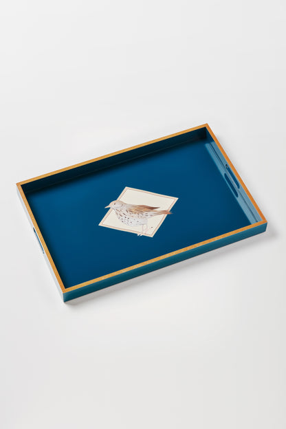 BANDEJA ZORZAL | BZG00_03_C.jpg